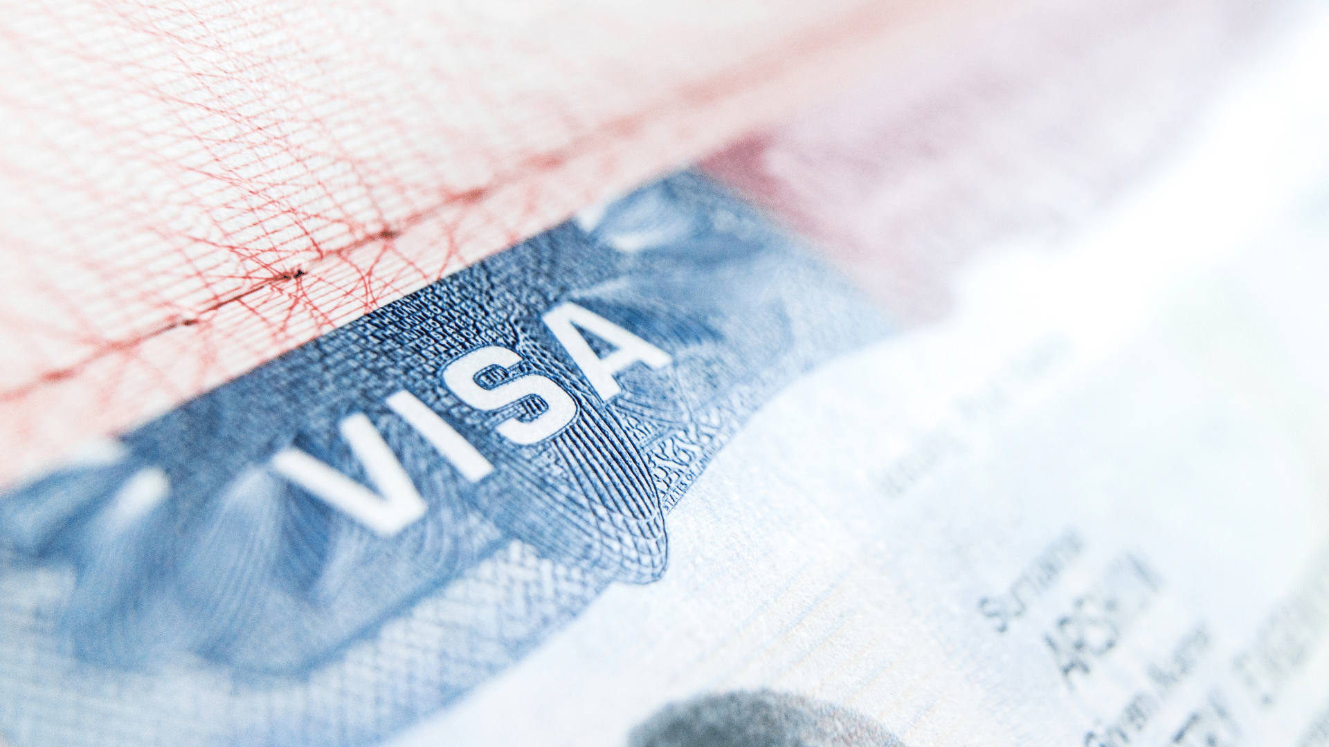 Close-up of a visa document